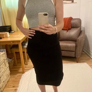 Aritzia - Babaton Contour Pencil Skirt